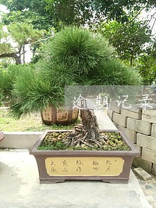 逾期记录多久能恢复 逾期记录多久能恢复
