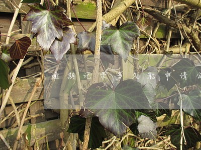 逾期记录多久能申请公务卡 逾期记录多久能申请公务卡