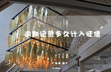 逾期记录多久计入征信 逾期记录多久计入征信