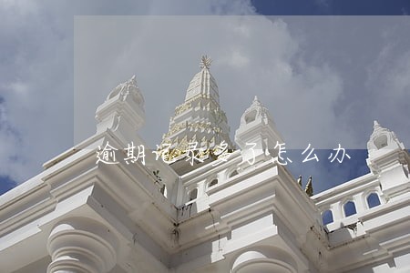 逾期记录多了怎么办 逾期记录多了怎么办