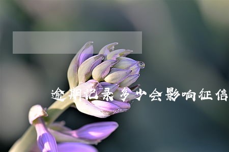 逾期记录多少会影响征信 逾期记录多少会影响征信