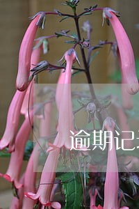 逾期记录多少会影响贷款吗 逾期记录多少会影响贷款吗