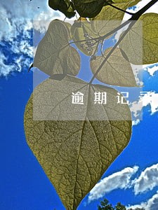 逾期记录多少次能办理房贷 逾期记录多少次能办理房贷