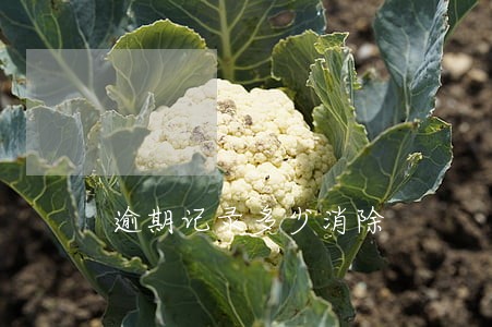 逾期记录多少消除 逾期记录多少消除
