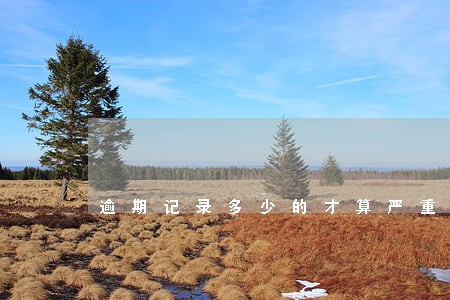逾期记录多少的才算严重 逾期记录多少的才算严重