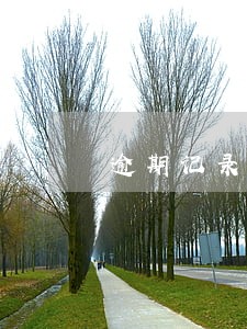 逾期记录多怎么贷款买房 逾期记录多怎么贷款买房