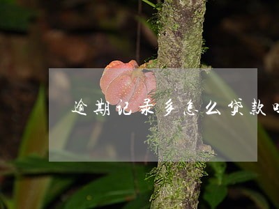 逾期记录多怎么贷款吗 逾期记录多怎么贷款吗