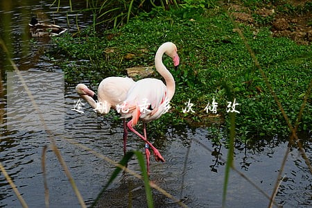 逾期记录多次修改 逾期记录多次修改