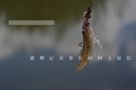逾期记录多长时间上征信 逾期记录多长时间上征信