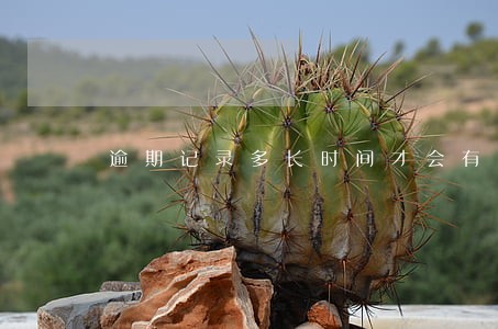 逾期记录多长时间才会有 逾期记录多长时间才会有
