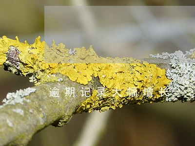 逾期记录大幅增长 逾期记录大幅增长