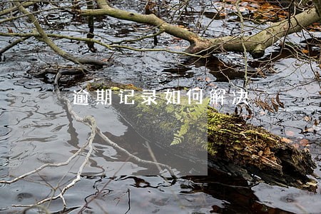 逾期记录如何解决