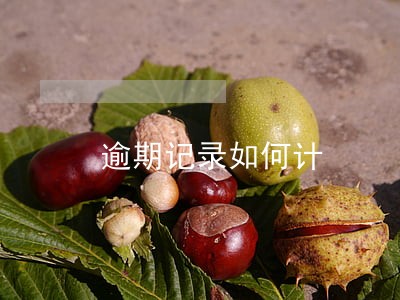 逾期记录如何计