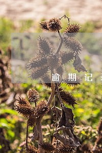 逾期记录对买房首付的影响吗 逾期记录对买房首付的影响吗