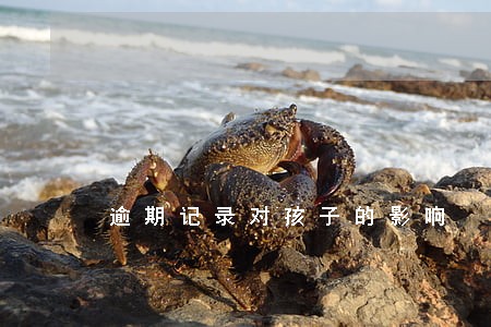 逾期记录对孩子的影响 逾期记录对孩子的影响
