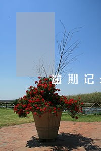 逾期记录对房贷有影响吗