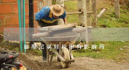 逾期记录对政审有影响吗