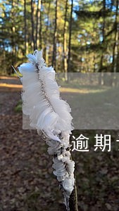 逾期记录对贷款的影响 逾期记录对贷款的影响