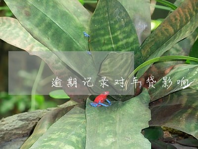 逾期记录对车贷影响 逾期记录对车贷影响