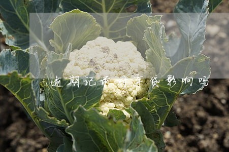 逾期记录对车贷影响吗 逾期记录对车贷影响吗
