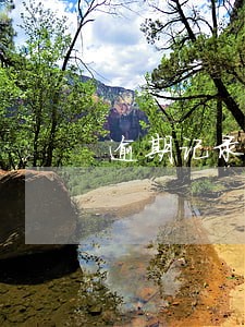 逾期记录导致花呗使用受限
