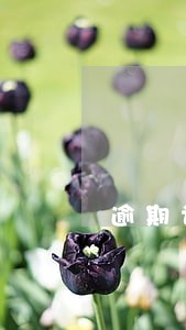 逾期记录将于近日上报人行征信 逾期记录将于近日上报人行征信