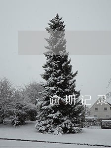 逾期记录就是逾期次数吗 逾期记录就是逾期次数吗