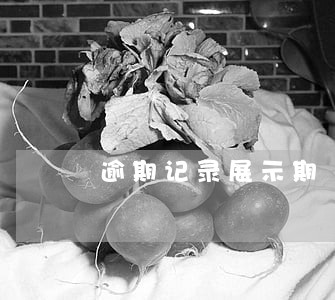 逾期记录展示期 逾期记录展示期