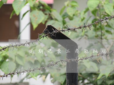 逾期记录工商能批吗 逾期记录工商能批吗
