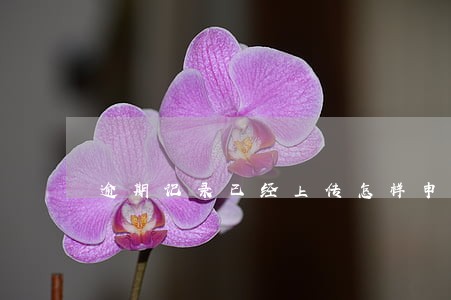 逾期记录已经上传怎样申请取消