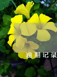 逾期记录已经五年了 逾期记录已经五年了