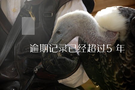逾期记录已经超过5年 逾期记录已经超过5年