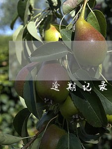 逾期记录已还清 逾期记录已还清
