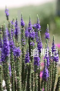 逾期记录平台说消除 逾期记录平台说消除
