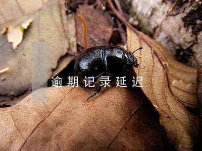 逾期记录延迟 逾期记录延迟