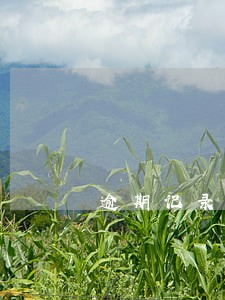 逾期记录影响买车 逾期记录影响买车
