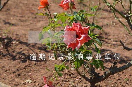 逾期记录影响事业单位 逾期记录影响事业单位
