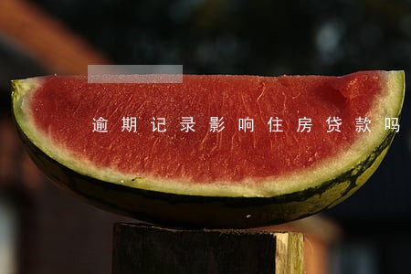 逾期记录影响住房贷款吗 逾期记录影响住房贷款吗
