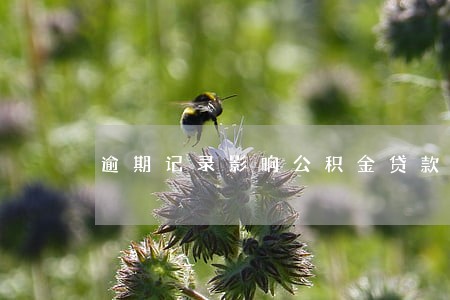 逾期记录影响公积金贷款 逾期记录影响公积金贷款