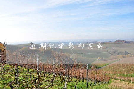 逾期记录影响商贷