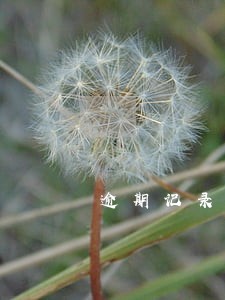 逾期记录影响坐飞机吗 逾期记录影响坐飞机吗