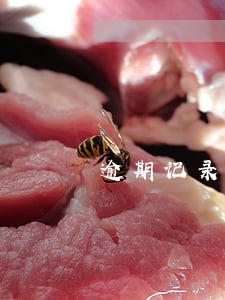 逾期记录影响当兵政审吗 逾期记录影响当兵政审吗