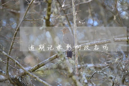 逾期记录影响改名吗 逾期记录影响改名吗
