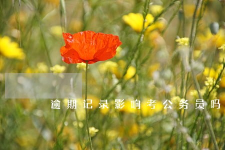 逾期记录影响考公务员吗 逾期记录影响考公务员吗