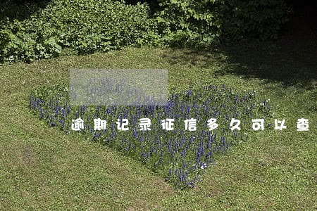 逾期记录征信多久可以查到