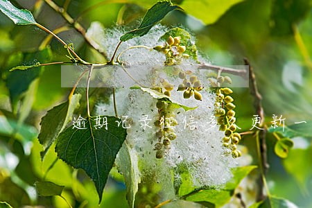 逾期记录征信多久更新一次 逾期记录征信多久更新一次