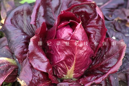 逾期记录征信找不到明细 逾期记录征信找不到明细