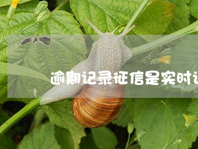 逾期记录征信是实时记录么 逾期记录征信是实时记录么