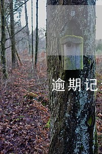逾期记录很多影响改名字吗 逾期记录很多影响改名字吗