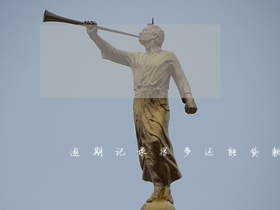 逾期记录很多还能贷款吗 逾期记录很多还能贷款吗
